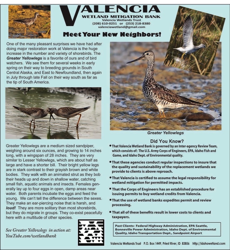 Valencia Ad Dec. 2011.jpg 